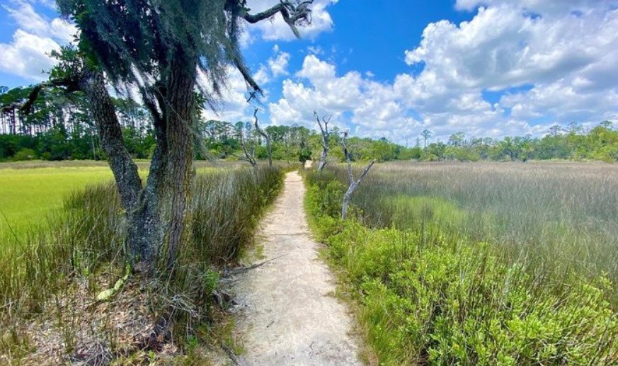 Skidaway Island State Park, Georgia, USA